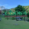 Lelah Dengan Kehidupan di Kota? Yuk, Kita Main ke Cisoka Eco Green Park Sumedang!