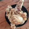 Masih Ingat Kedai Mie-Rah Sumedang? Inilah 5 Alasan Kenapa Kamu Wajib Cobain Bakso di Kedai Mie-Rah Sumedang!