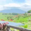 Catat dan Masukkan ke List Favorite Kamu! Yuk, Makan Bareng Keluarga di Kampoeng Aseupan