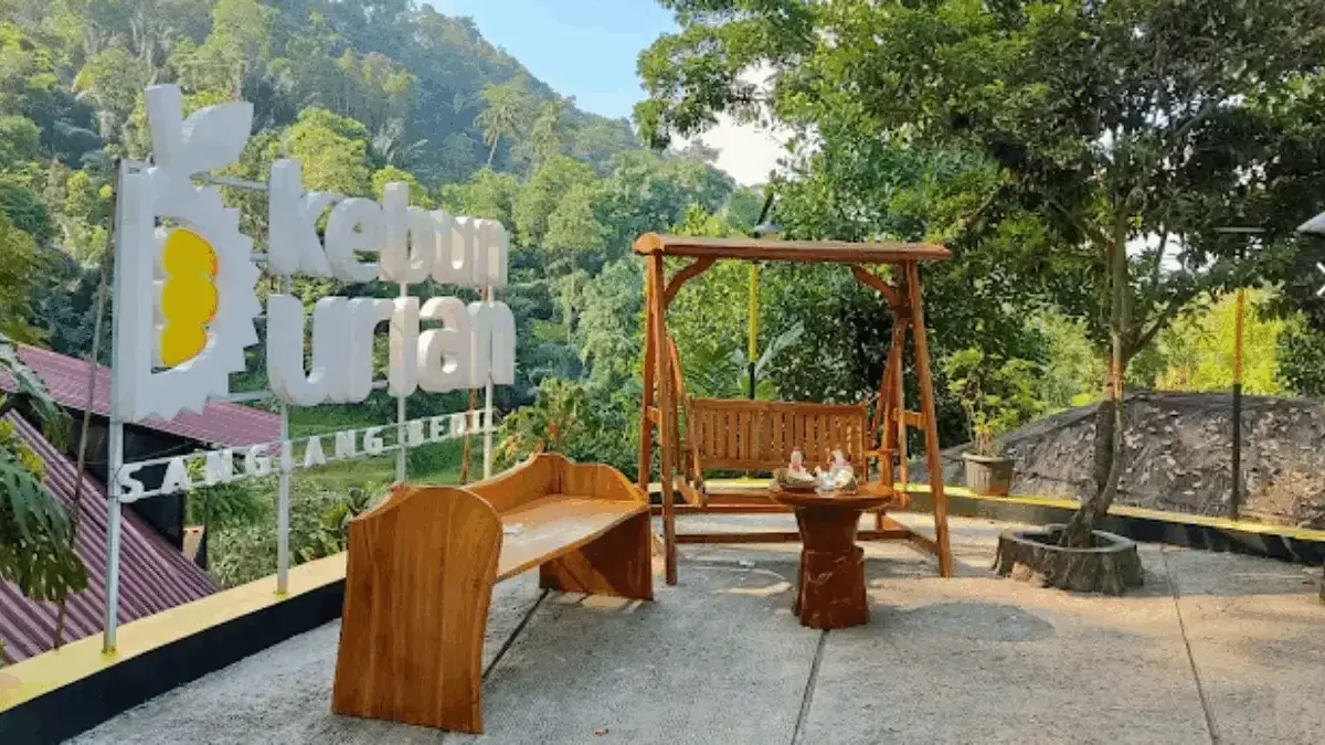 Mau Main ke Kebun Durian Sangiang Bedil? Cukup Bawa Uang Segini!