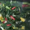Tak Hanya Segar, Sayur Sawi Ternyata Kaya Khasiat Luar Biasa