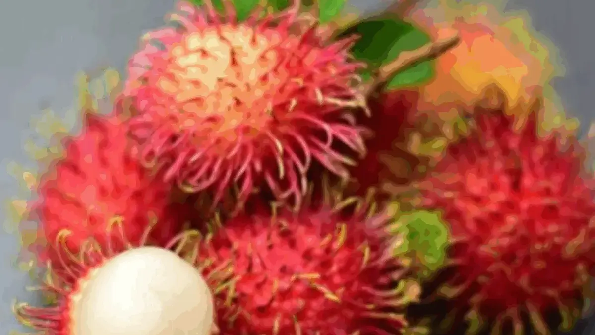 Buah Rambutan: Si Manis Segar dengan Segudang Manfaat Kesehatan
