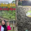Alamat Lengkap Dua Cabang Saung Cibingbin di Sumedang Biar Kamu Nggak Nyasar