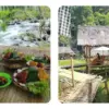 Sejuk dan Bikin Betah, Berikut 3 Tempat Nongkrong Suasana Pedesaan di Sumedang