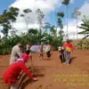 Jagung Jadi Andalan Ketahanan Pangan Lokal