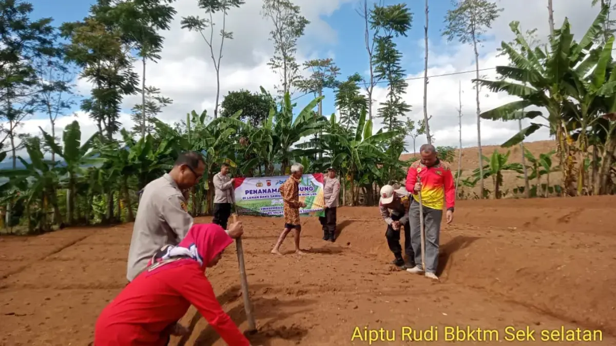 Jagung Jadi Andalan Ketahanan Pangan Lokal