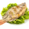 Sehat dan Bergizi, Inilah Keistimewaan Ikan Mujair untuk Tubuh