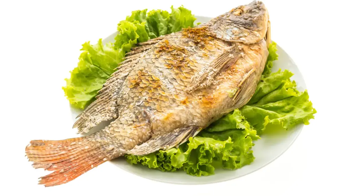 Sehat dan Bergizi, Inilah Keistimewaan Ikan Mujair untuk Tubuh