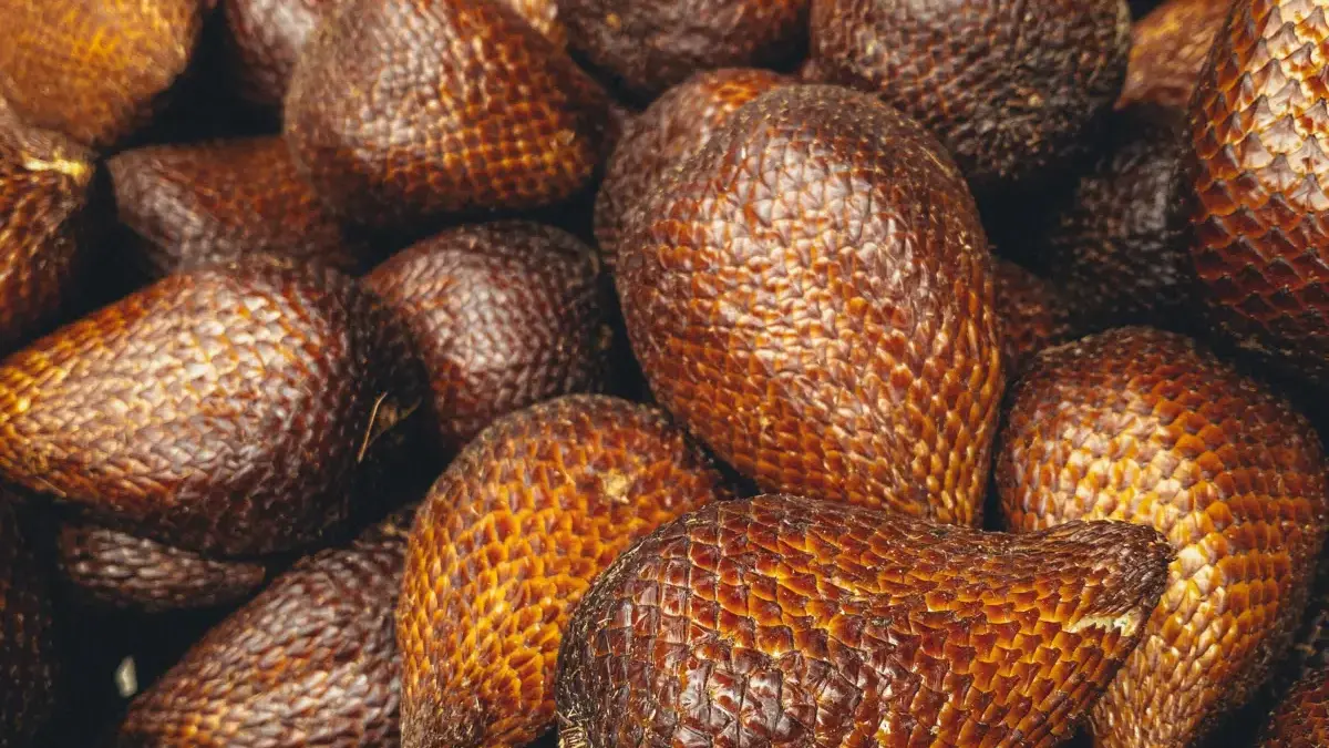 Manfaat Buah Salak: Dari Jaga Pencernaan hingga Tingkatkan Imunitas