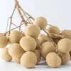 Kelengkeng, Buah Imut Penjaga Stamina dan Imunitas