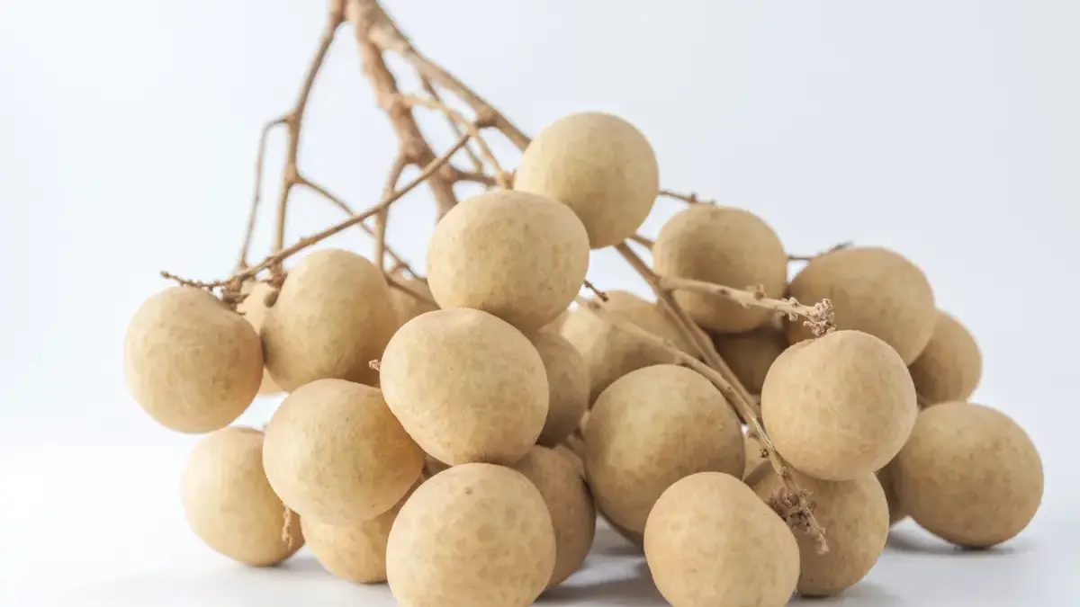 Kelengkeng, Buah Imut Penjaga Stamina dan Imunitas