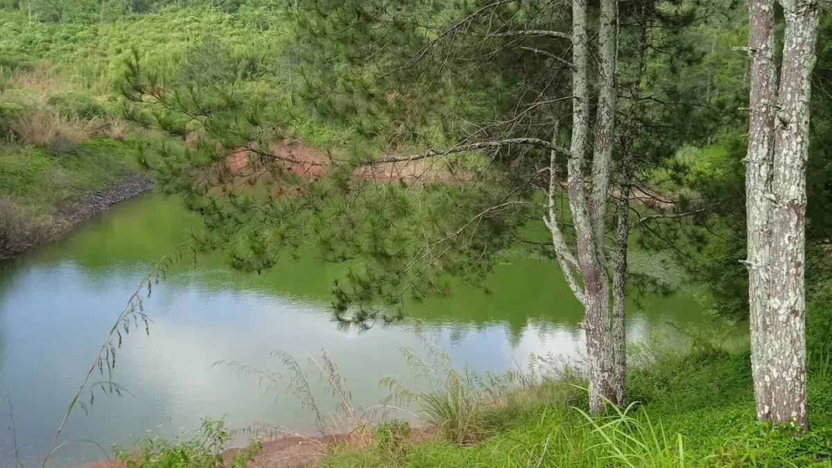 VIRAL Di Tiktok! Danau Cekdam Cimarias Sumedang, Wisata Alam Tersembunyi