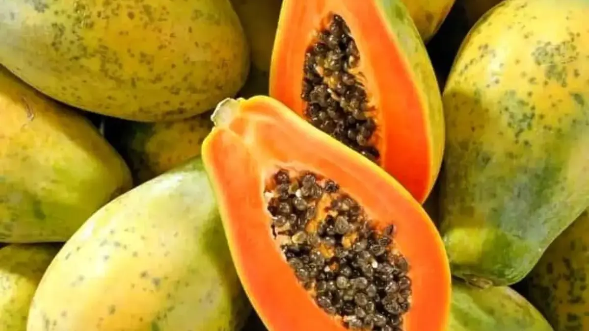 Buah Sejuta Khasiat, Inilah Alasan Mengapa Anda Perlu Makan Pepaya Setiap Hari