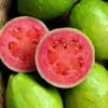 Keajaiban Jambu biji Manfaatnya untuk Kesehatan yang Jarang Diketahui