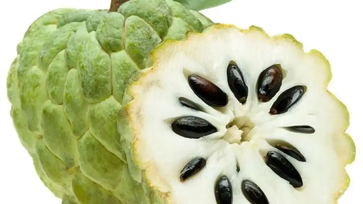Rahasia Sehat Alami dari Buah Srikaya yang Jarang Diketahui