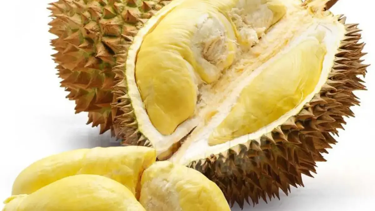 Manfaat Durian untuk Kesehatan: Dari Energi Hingga Nutrisi Lengkap