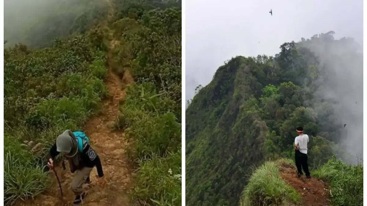 Bikin Betah! Flora dan Fauna di Gunung Kerenceng Sumedang yang Jarang Diketahui