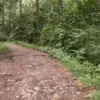 Mau Pergi ke Cipadayungan? Ini Dia Rute Tercepat dari Sumedang Kota dan Bandung