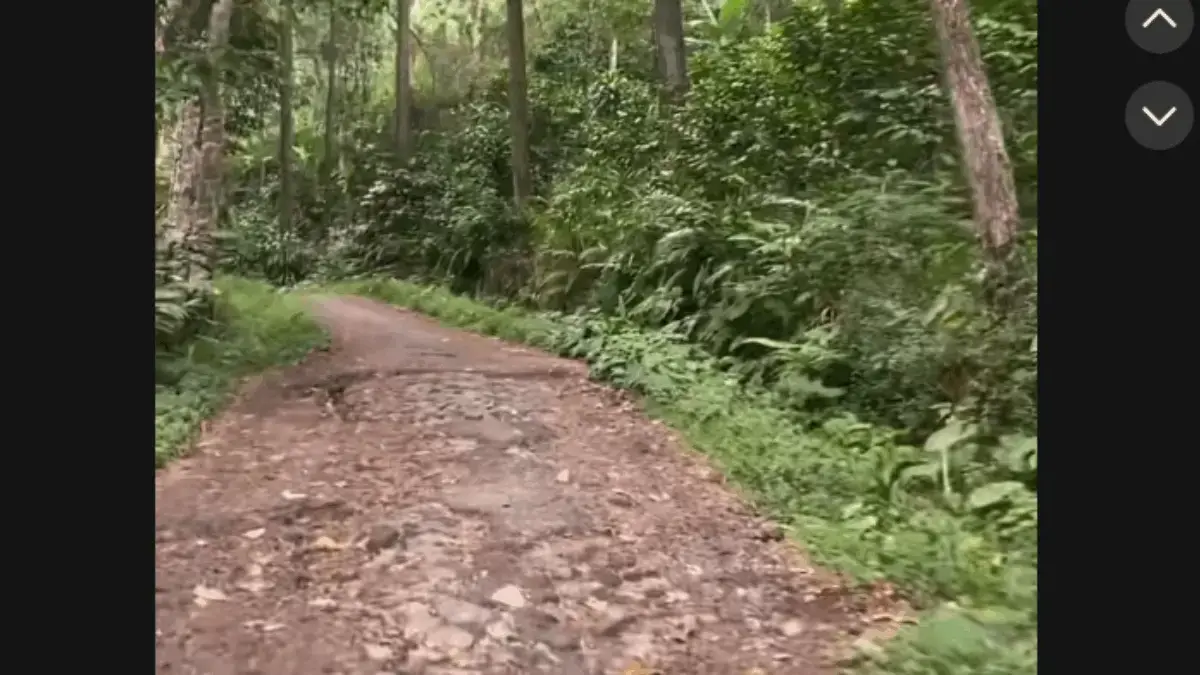 Mau Pergi ke Cipadayungan? Ini Dia Rute Tercepat dari Sumedang Kota dan Bandung