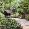 Nikmati Sensasi Minum Kopi di Tengah Hutan yang Sejuk di For-Rest Coffee