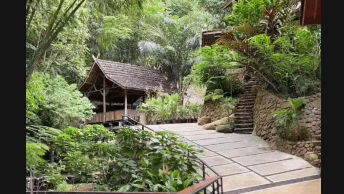 Nikmati Sensasi Minum Kopi di Tengah Hutan yang Sejuk di For-Rest Coffee