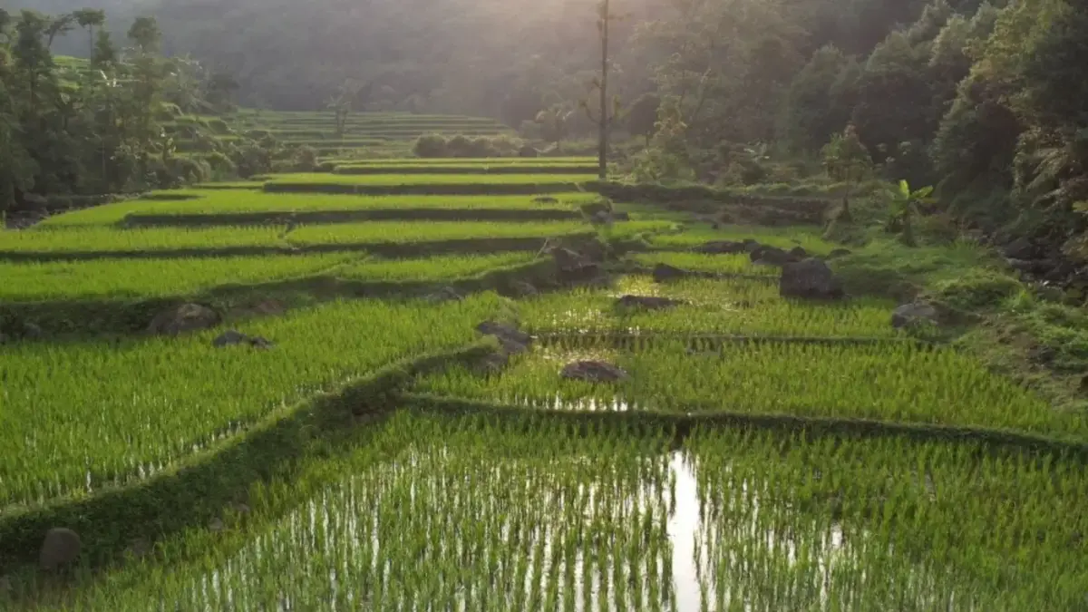 Harus Berkeadilan, Menteri Nusron: Reforma Agraria Jawab Ketimpangan Penguasaan dan Pemilikan Tanah