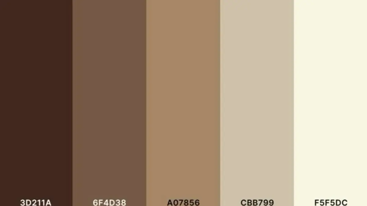 Perbedaan Warna Coksu dengan Nude, Beige, dan Khaki: Jangan Salah Lagi!