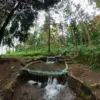Cipadayungan, Air Terjun Super Cantik Tersembunyi di Sumedang