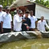 Pemuda Surian Bangun Desa Lewat Budidaya Gurame, Dapat Dukungan Pemkab