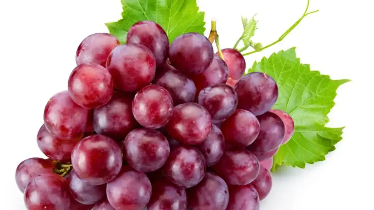 Rahasia Sehat Tersembunyi di Balik Buah Anggur, Wajib Kamu Coba!