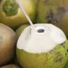 Rahasia Sehat Tersembunyi di Balik Buah Kelapa yang Wajib Kamu Tahu