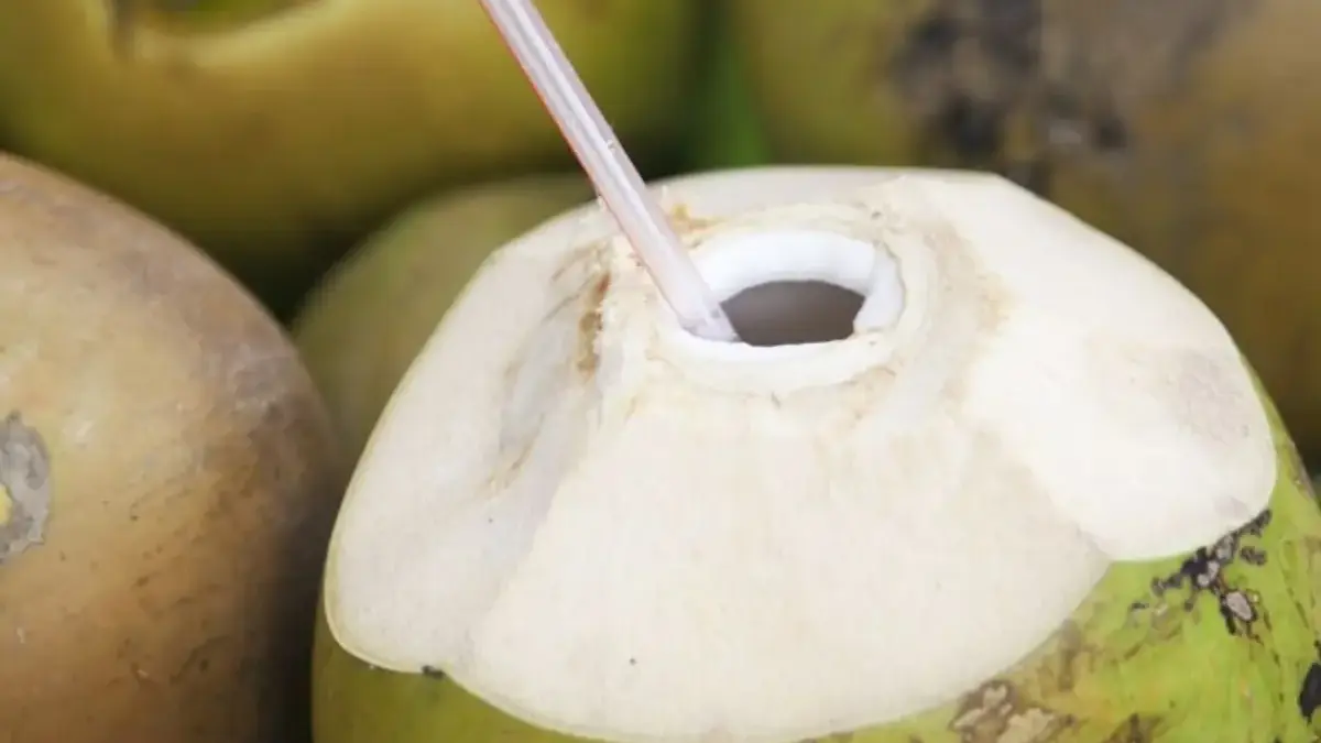 Rahasia Sehat Tersembunyi di Balik Buah Kelapa yang Wajib Kamu Tahu