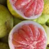 Jeruk Bali: Si Buah Segar dengan Khasiat Luar Biasa untuk Tubuh