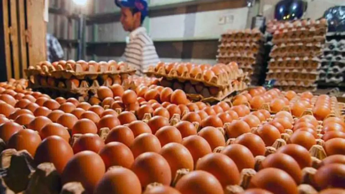 Harga Telur dan Cabai di Sumedang Merangkak Naik