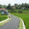 Tawarkan Pesona Alam dan Kenyamanan Baru