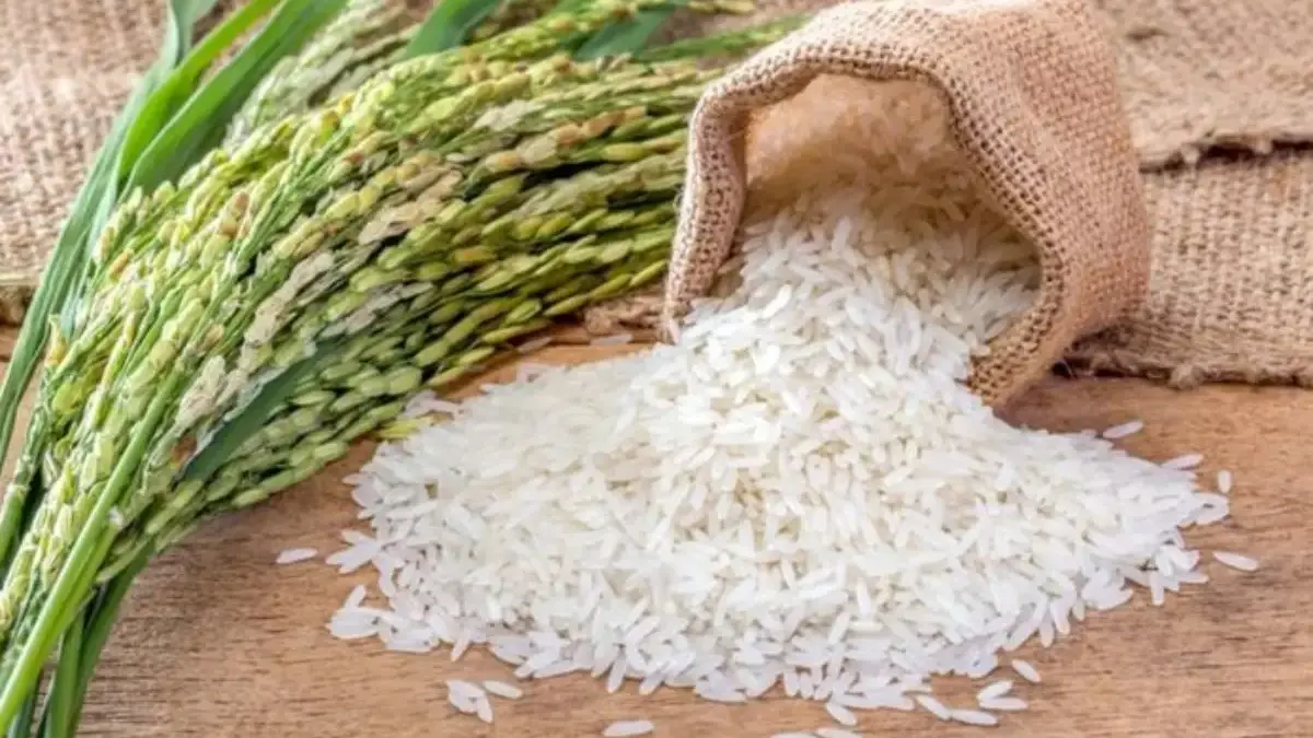 Satgas Pangan Jabar Pastikan Harga Beras Stabil di Sumedang, Stok Aman hingga Akhir Tahun Satgas Pangan Jabar Pastikan Harga Beras Stabil di Sumedang, Stok Aman hingga Akhir Tahun
