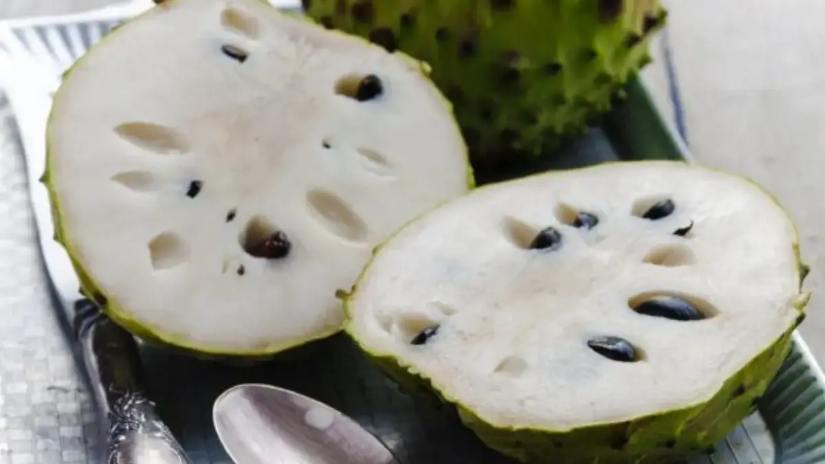 7 Manfaat Buah Sirsak Untuk Kesehatan Tubuh