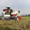 Pemkab Sumedang Perkuat Ketahanan Pangan Lewat Program Starbak dan Kolaborasi Lintas Sektor