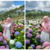 Prompt Edit Foto AI Cewe di Tengah Taman Bunga Warna-warni, Pose Anggun dan Simpel