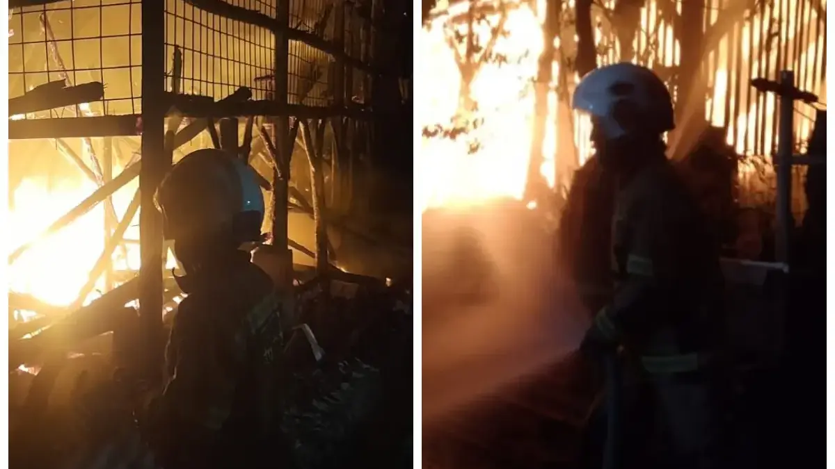 Kebakaran Kandang di Sumedang Akibat Minimnya Edukasi Keamanan bagi Peternak Desa?