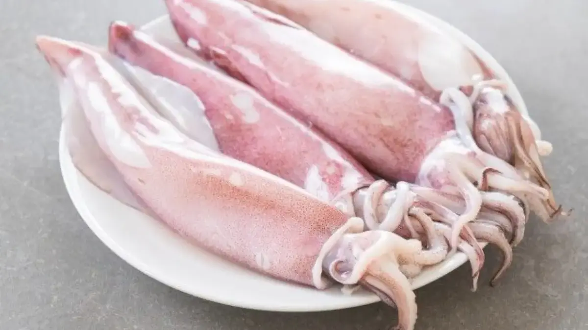 Stop Ragu! Ini 7 Manfaat Tersembunyi Cumi-Cumi yang Bikin Jantung dan Otak Anda Sehat Optimal Stop Ragu! Ini 7 Manfaat Tersembunyi Cumi-Cumi yang Bikin Jantung dan Otak Anda Sehat Optimal