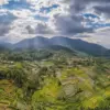 Dugaan Penyimpangan Pengelolaan Hutan Lindung Cijambu, DPRD Sumedang Diminta Bentuk Pansus