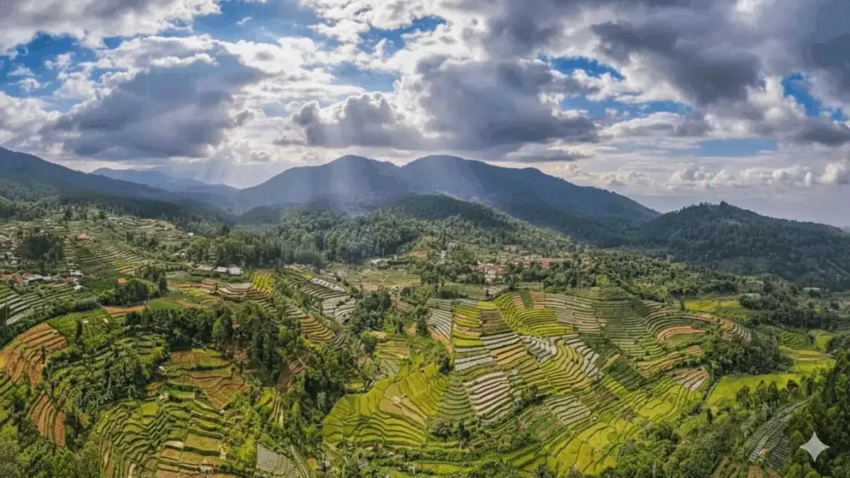 Dugaan Penyimpangan Pengelolaan Hutan Lindung Cijambu, DPRD Sumedang Diminta Bentuk Pansus