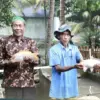 Kampung Reforma Agraria Desa Bandung Kembangkan Pembibitan dan Budidaya Ikan