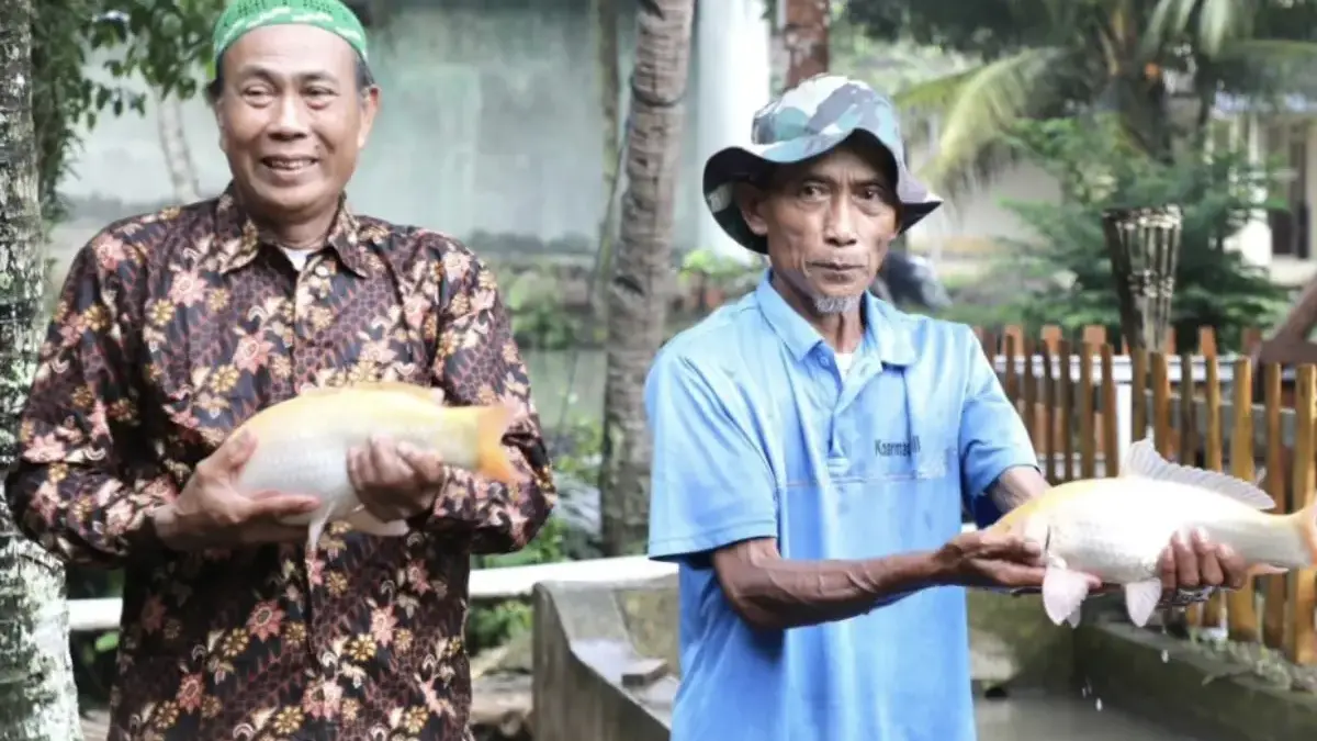 Kampung Reforma Agraria Desa Bandung Kembangkan Pembibitan dan Budidaya Ikan