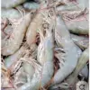 Sejarah Kuliner Udang: Dari Santapan Romawi Kuno hingga Ikon Seafood Dunia 