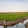 Parit, Sang Pahlawan Sunyi: Fungsi Tersembunyi dari Saluran Air Berbentuk U