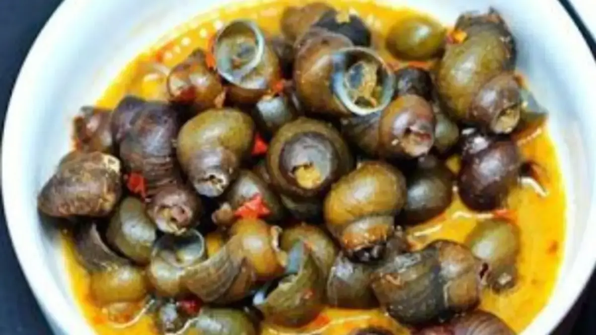 Resep Tutut Pedas Gila Ala Rumahan: Dari Keong Sawah Jadi Hidangan Bintang Lima Resep Tutut Pedas Gila Ala Rumahan: Dari Keong Sawah Jadi Hidangan Bintang Lima