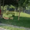 Viral Penemuan Jasad di Depan Kampus ITB Jatinangor, Korban Belum Teridentifikasi