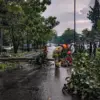 Suhu Sumedang Turun hingga 18 Derajat, Warga Diminta Waspada Peralihan Musim